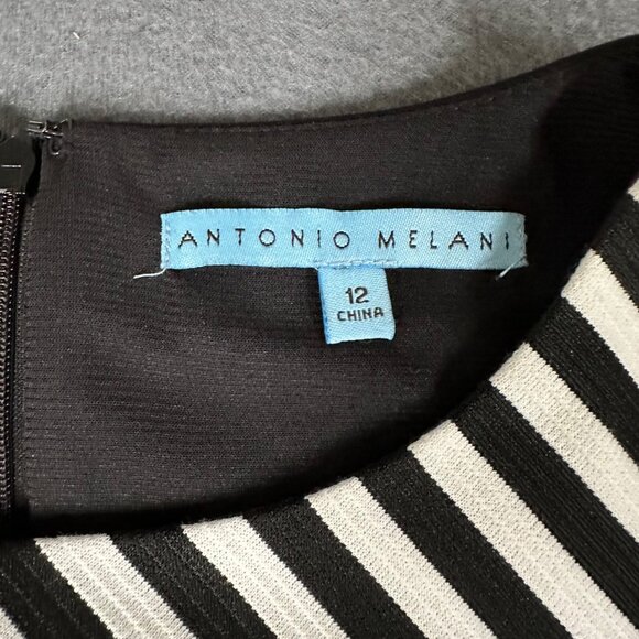 Antonio Melani 12 Black White Striped Round Neck 3/4 Sleeve Back Zip Dress - Picture 4 of 9